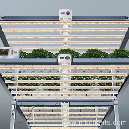 Samsung Lm301B Outdoor Grow Lights 1000W